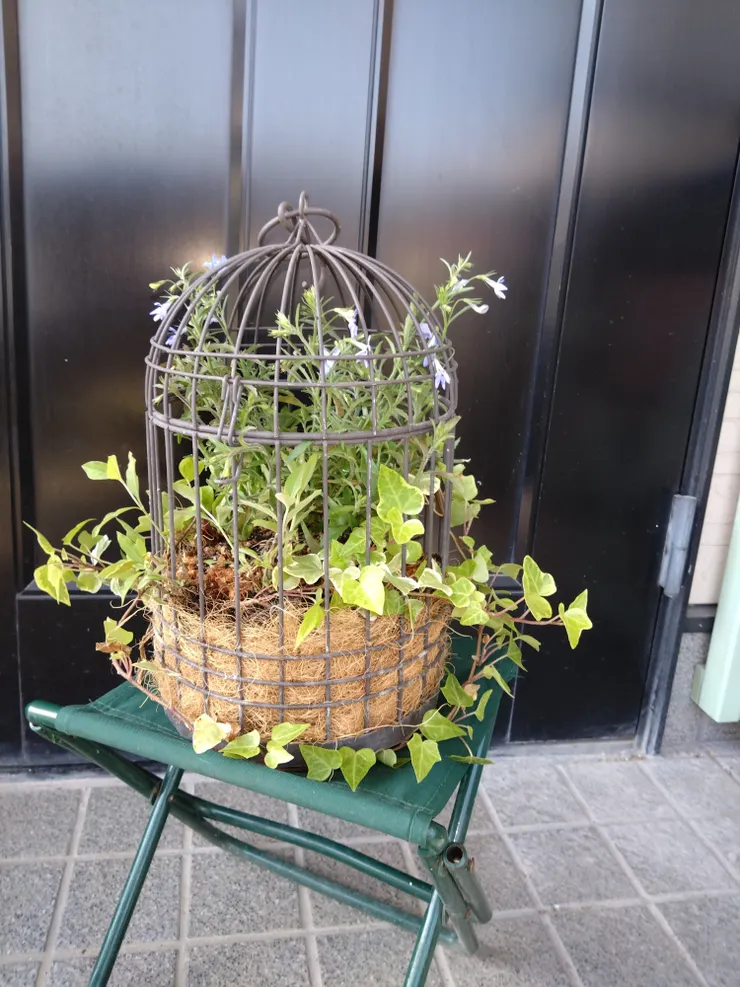 アイキャッチ