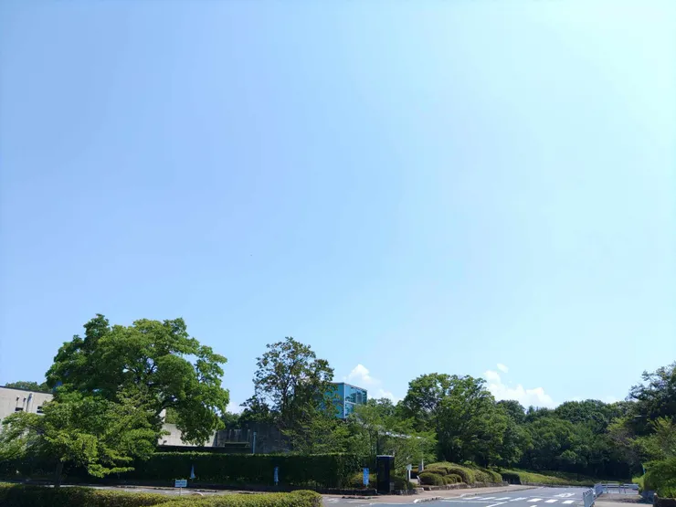アイキャッチ