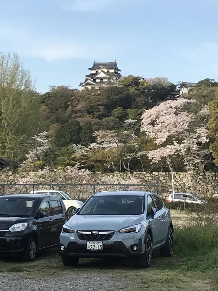 アイキャッチ