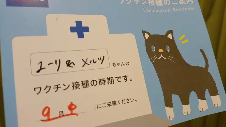 アイキャッチ