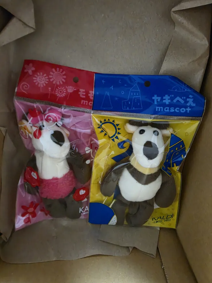 アイキャッチ