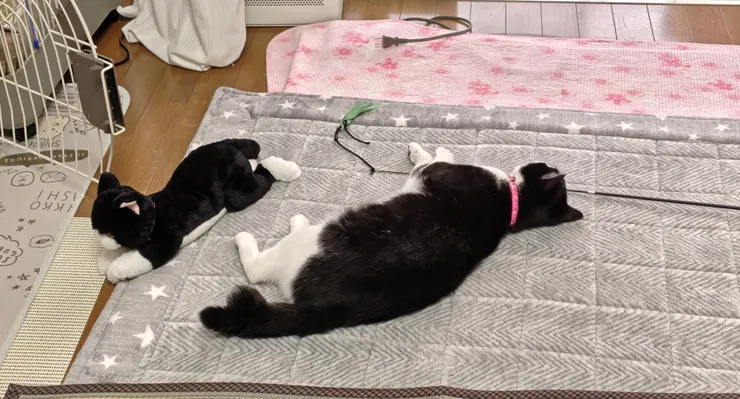 アイキャッチ