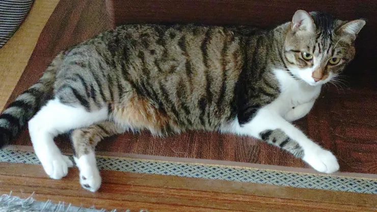 アイキャッチ