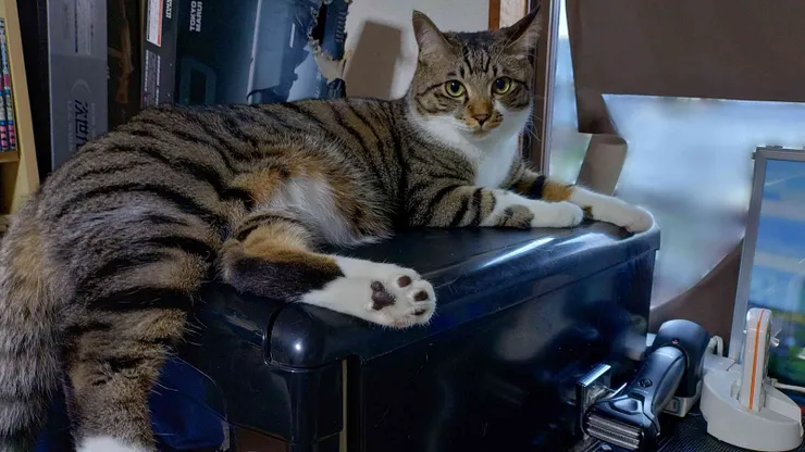 アイキャッチ