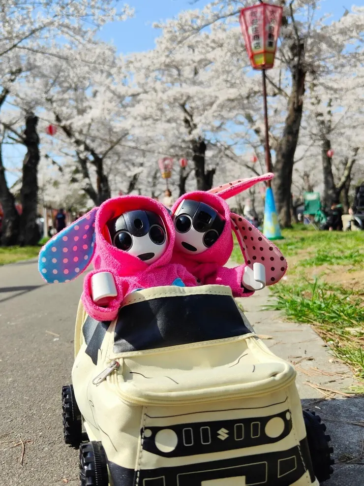 アイキャッチ