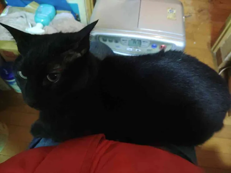 アイキャッチ