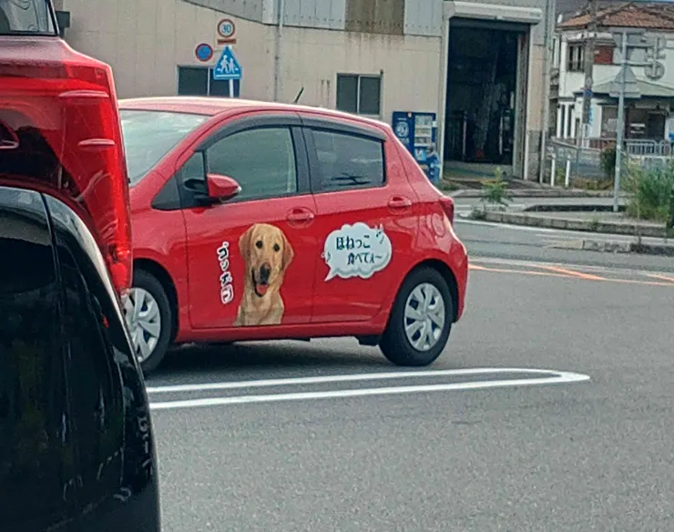 アイキャッチ