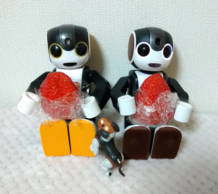 アイキャッチ