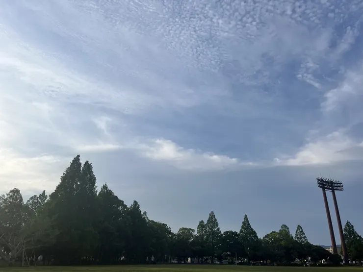 アイキャッチ
