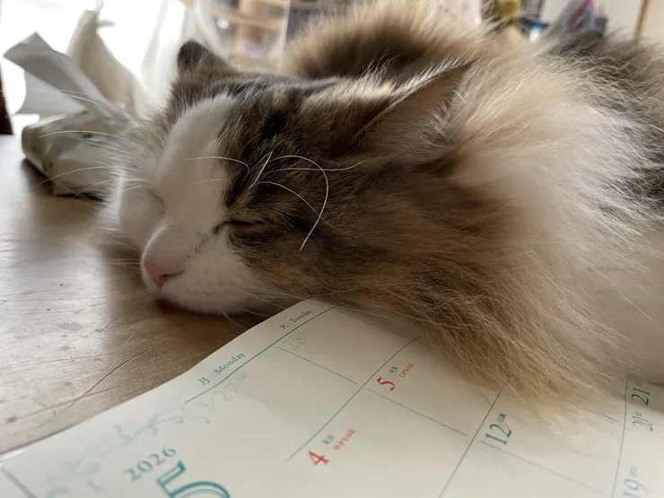 アイキャッチ