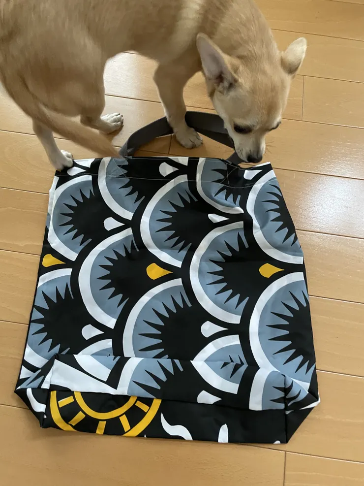 アイキャッチ