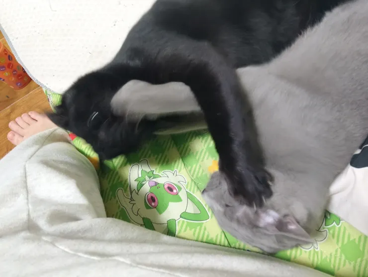 アイキャッチ