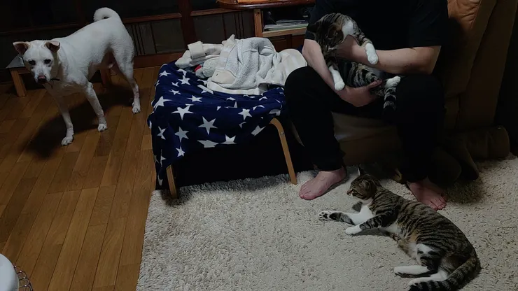 アイキャッチ