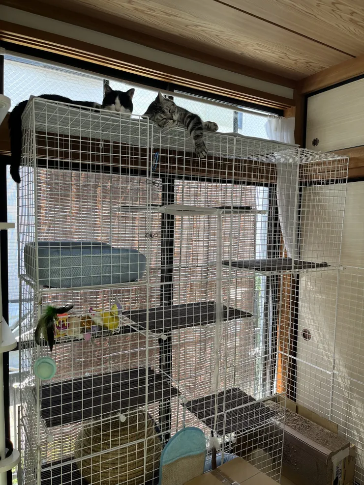 アイキャッチ