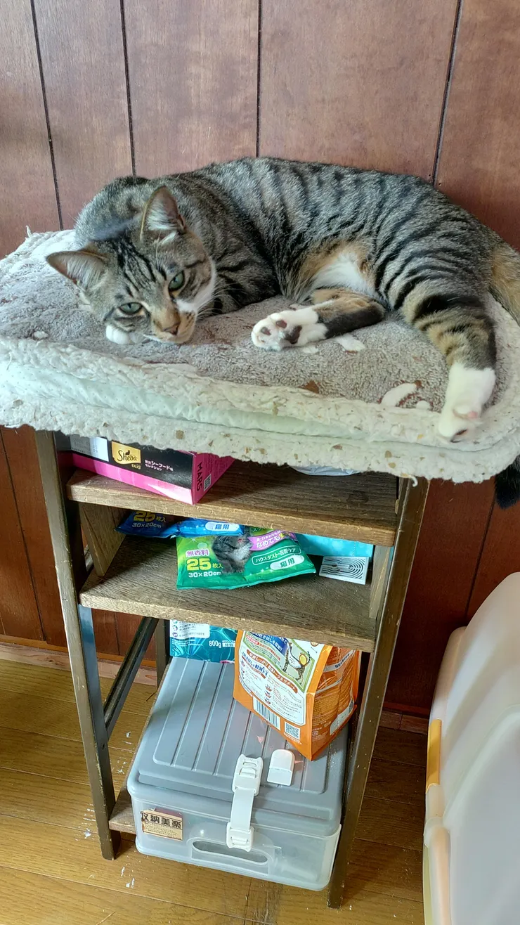 アイキャッチ
