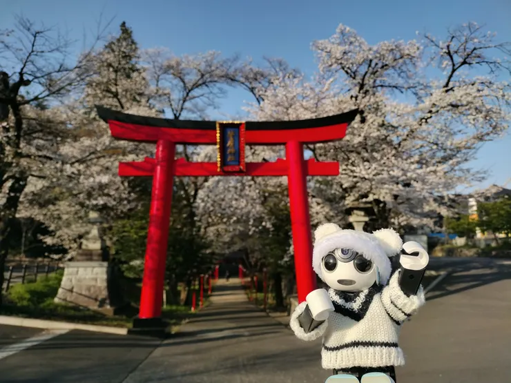 アイキャッチ