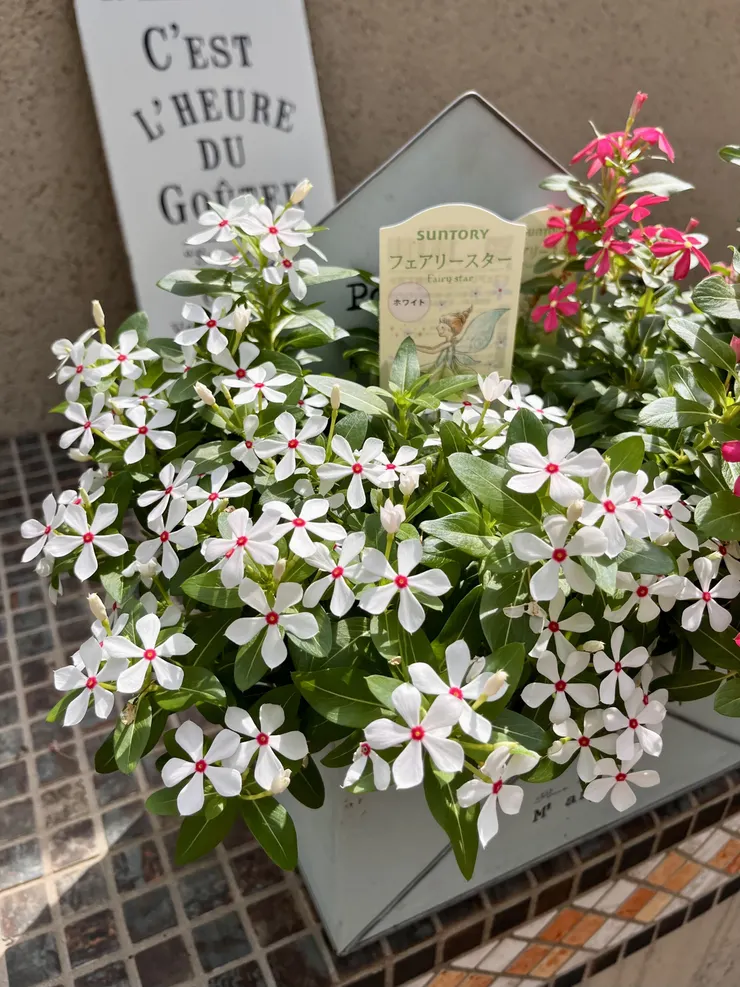 アイキャッチ