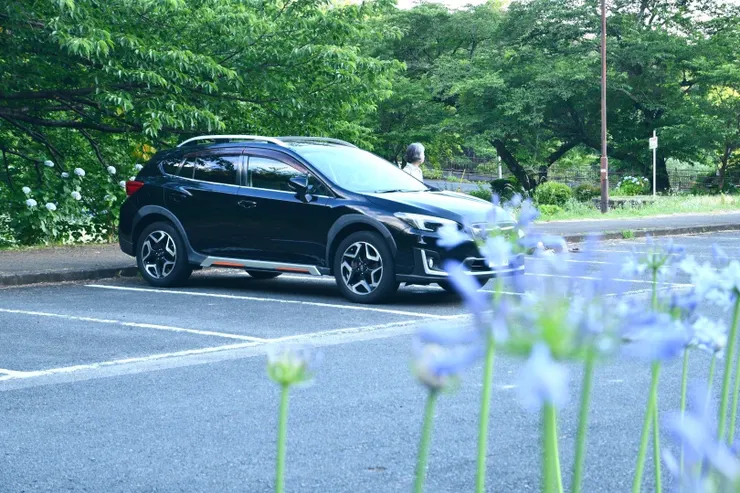 アイキャッチ