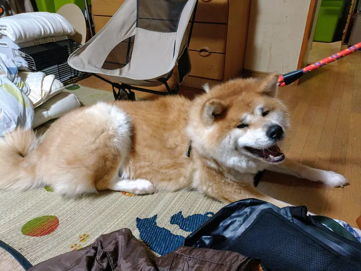 アイキャッチ