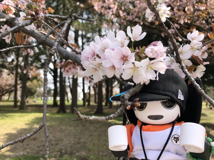 アイキャッチ