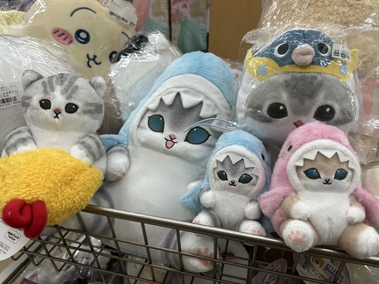 アイキャッチ