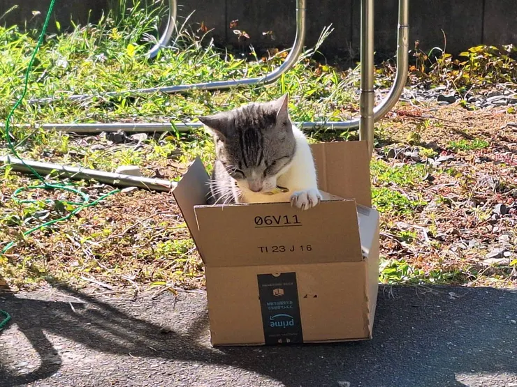 アイキャッチ