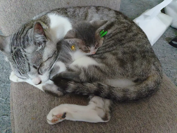 アイキャッチ