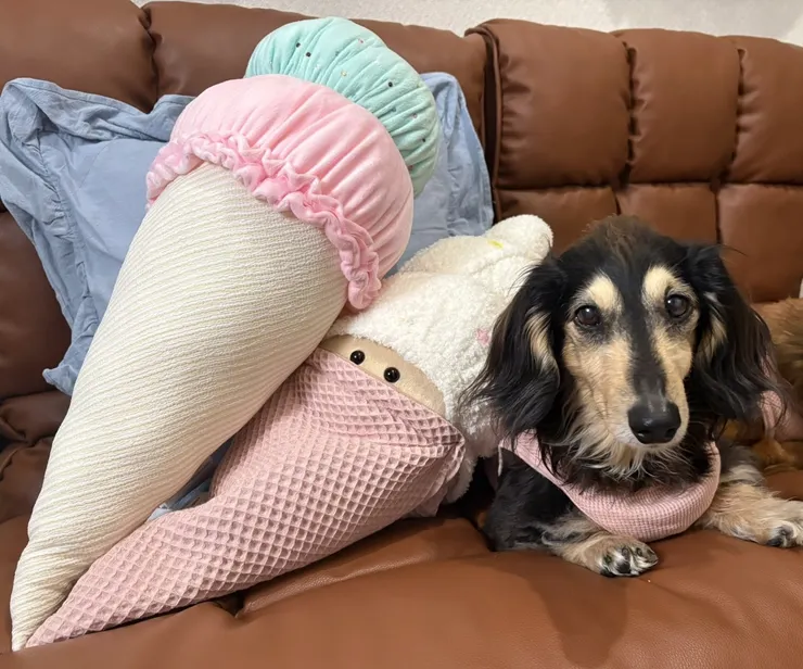 アイキャッチ