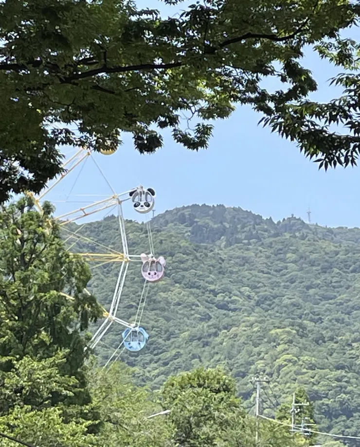 アイキャッチ