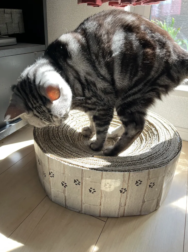 アイキャッチ