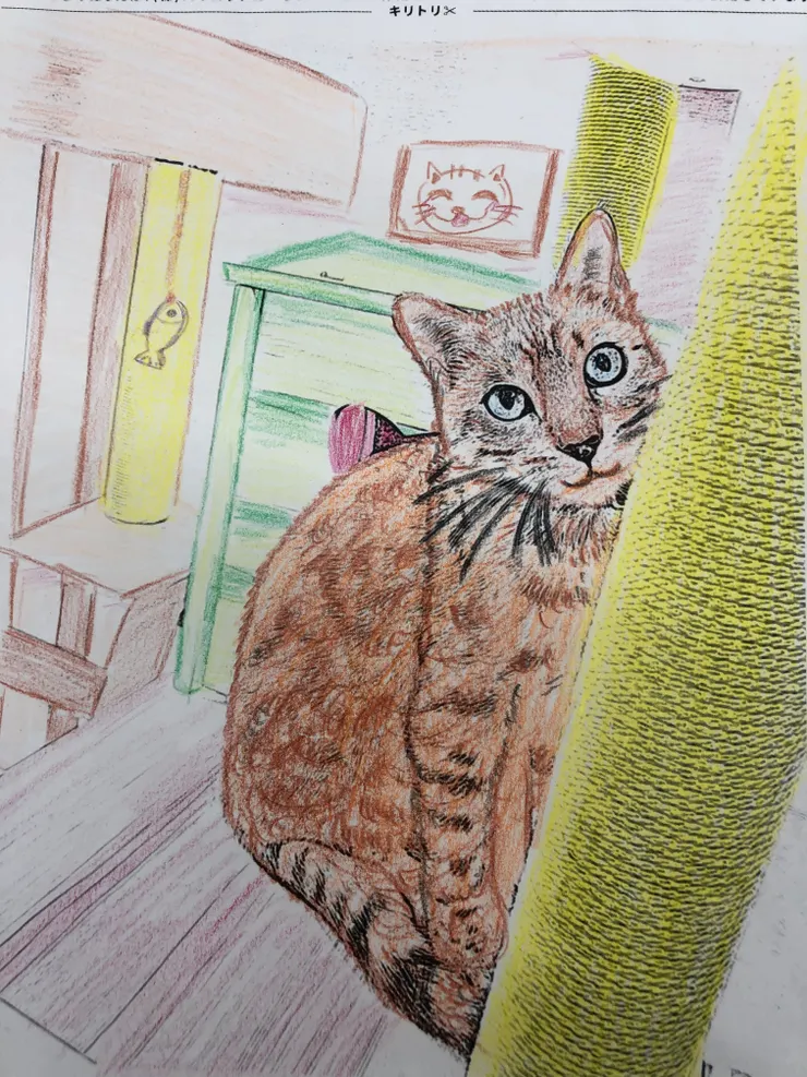 アイキャッチ