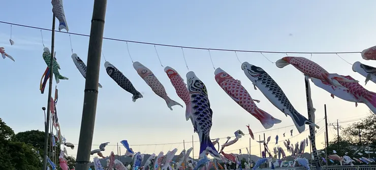 アイキャッチ