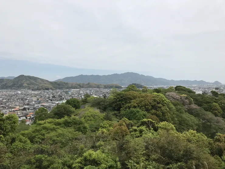 アイキャッチ