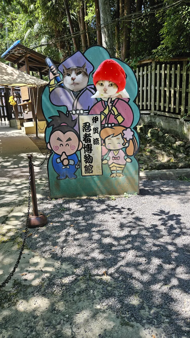 アイキャッチ