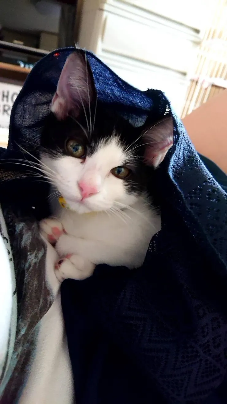 アイキャッチ
