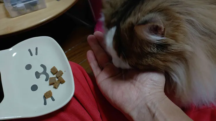 アイキャッチ