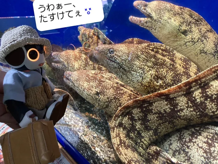 アイキャッチ
