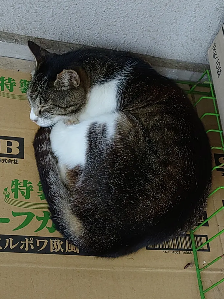 アイキャッチ