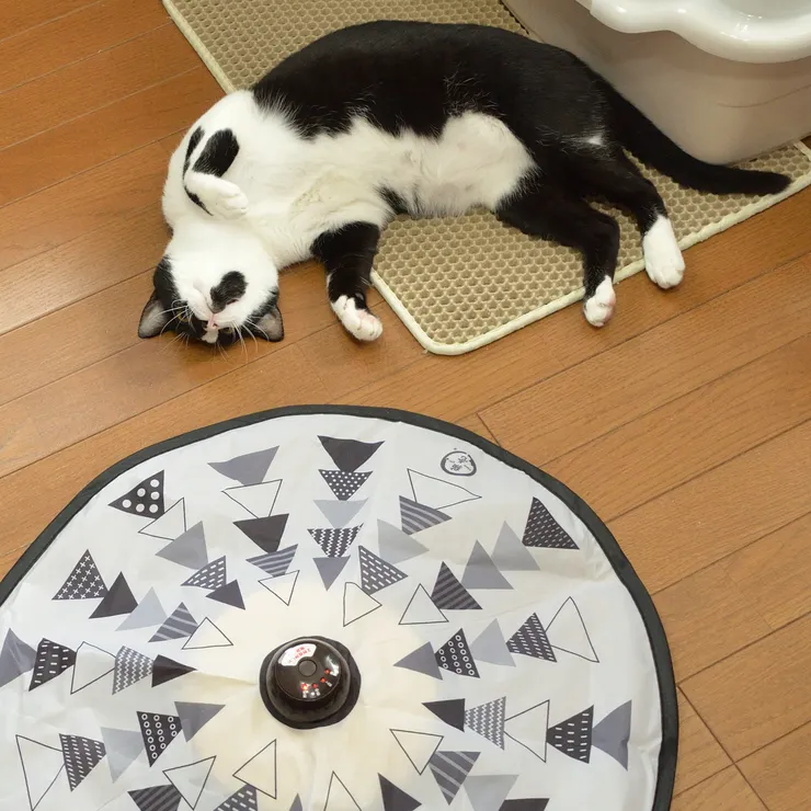 アイキャッチ