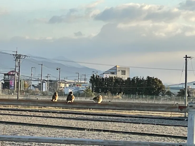 アイキャッチ