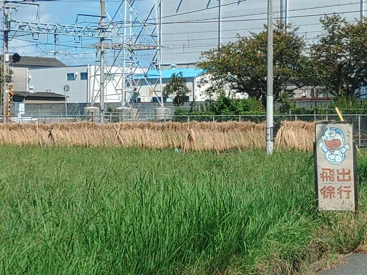 アイキャッチ