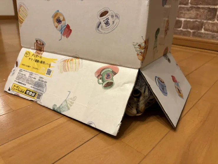 アイキャッチ