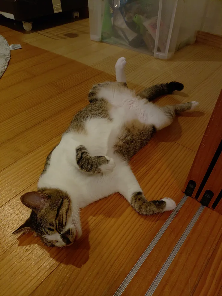 アイキャッチ