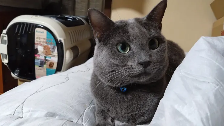 アイキャッチ