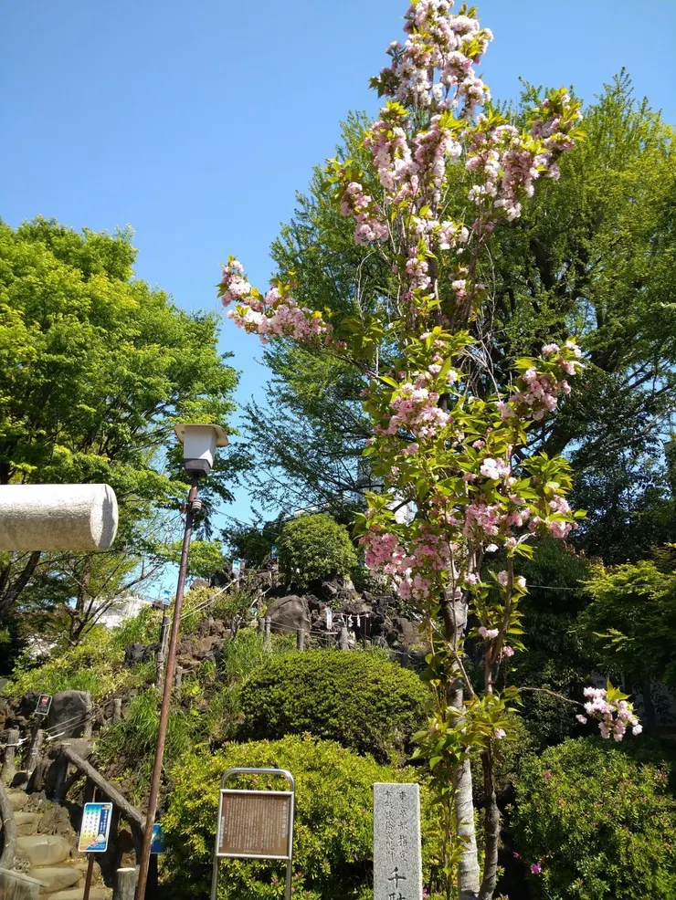 アイキャッチ