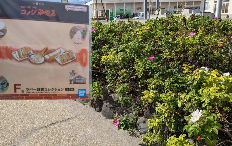 アイキャッチ
