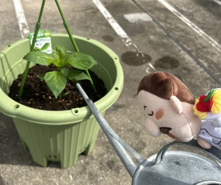 アイキャッチ