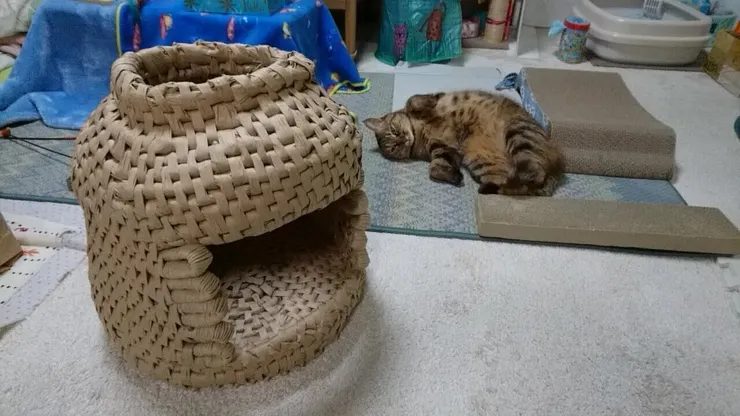 アイキャッチ