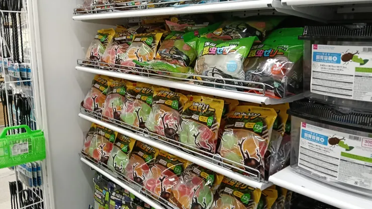 アイキャッチ