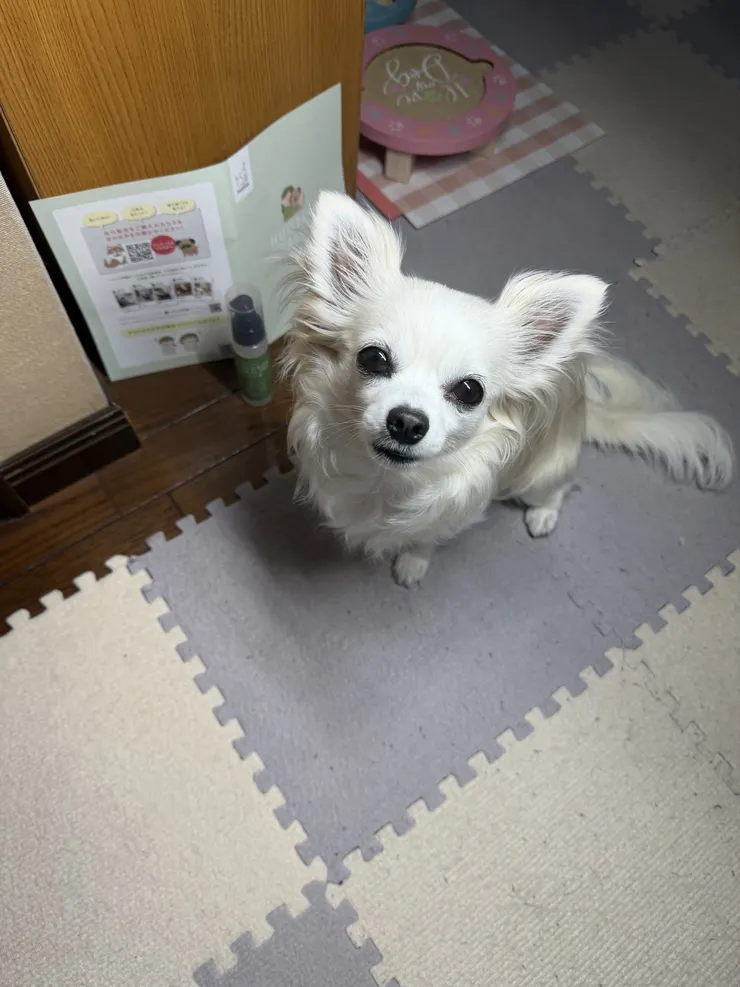 アイキャッチ